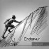 endeavor